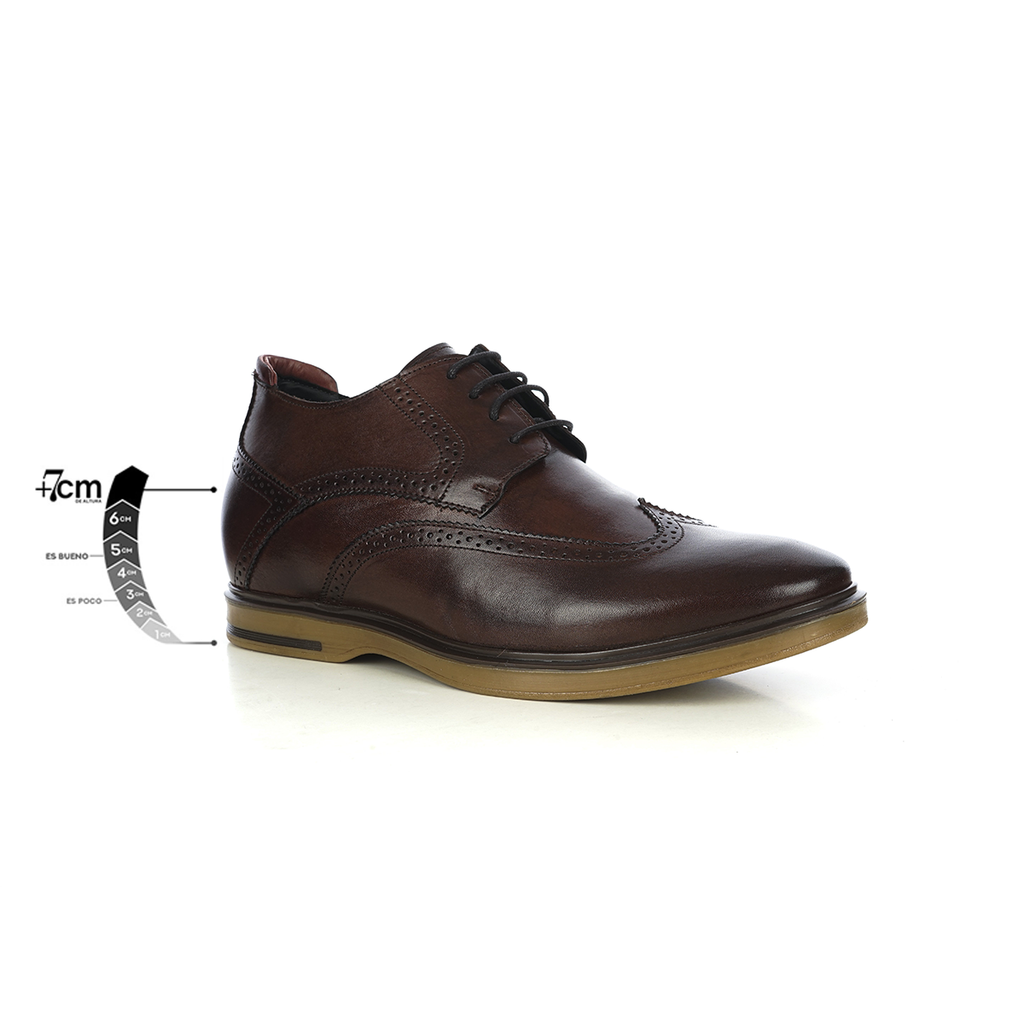 Zapato Hombre Bedford Café Max Denegri +7cms